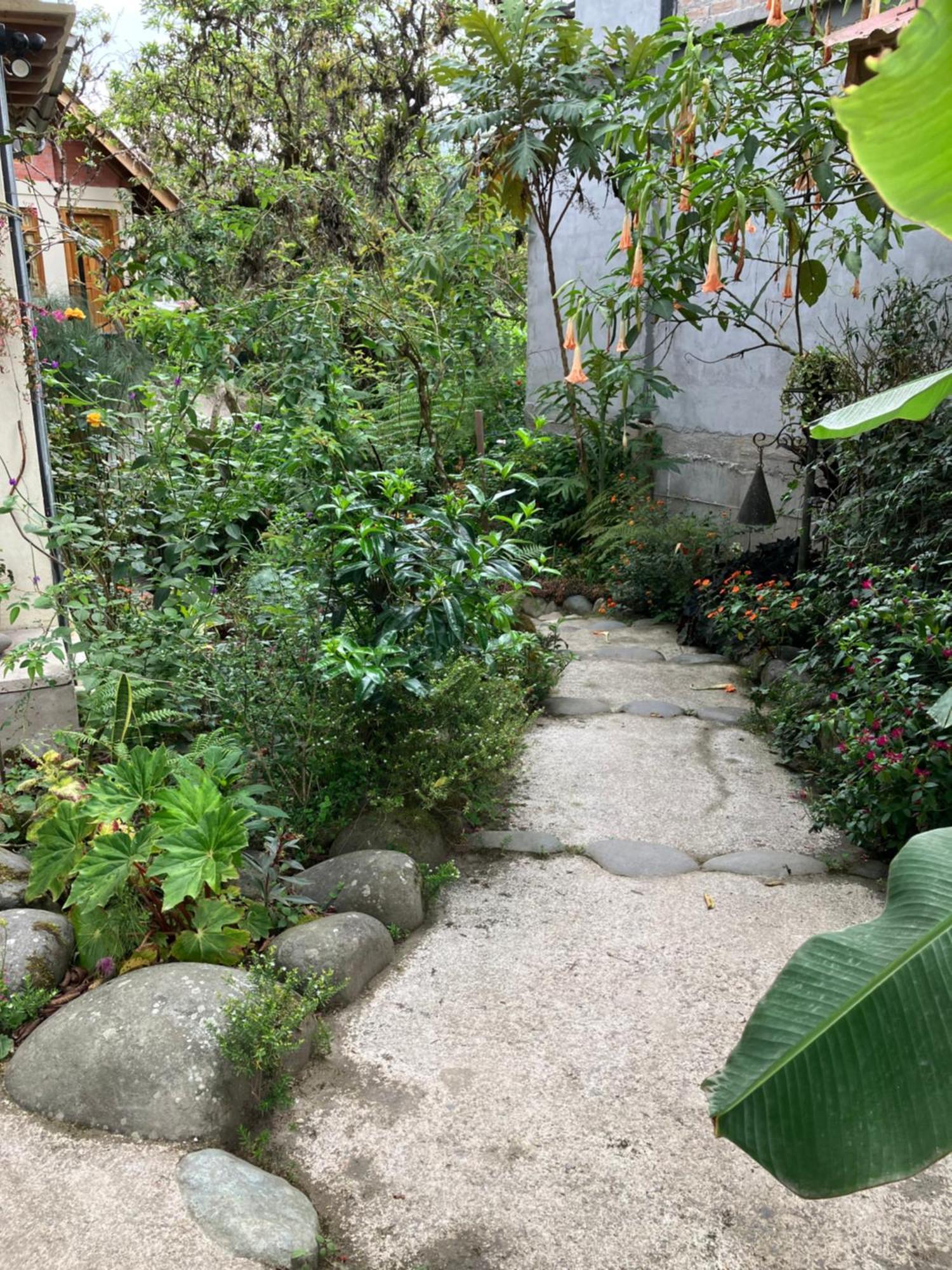 Casa Del Rio En Mindo住宿加早餐旅馆 外观 照片