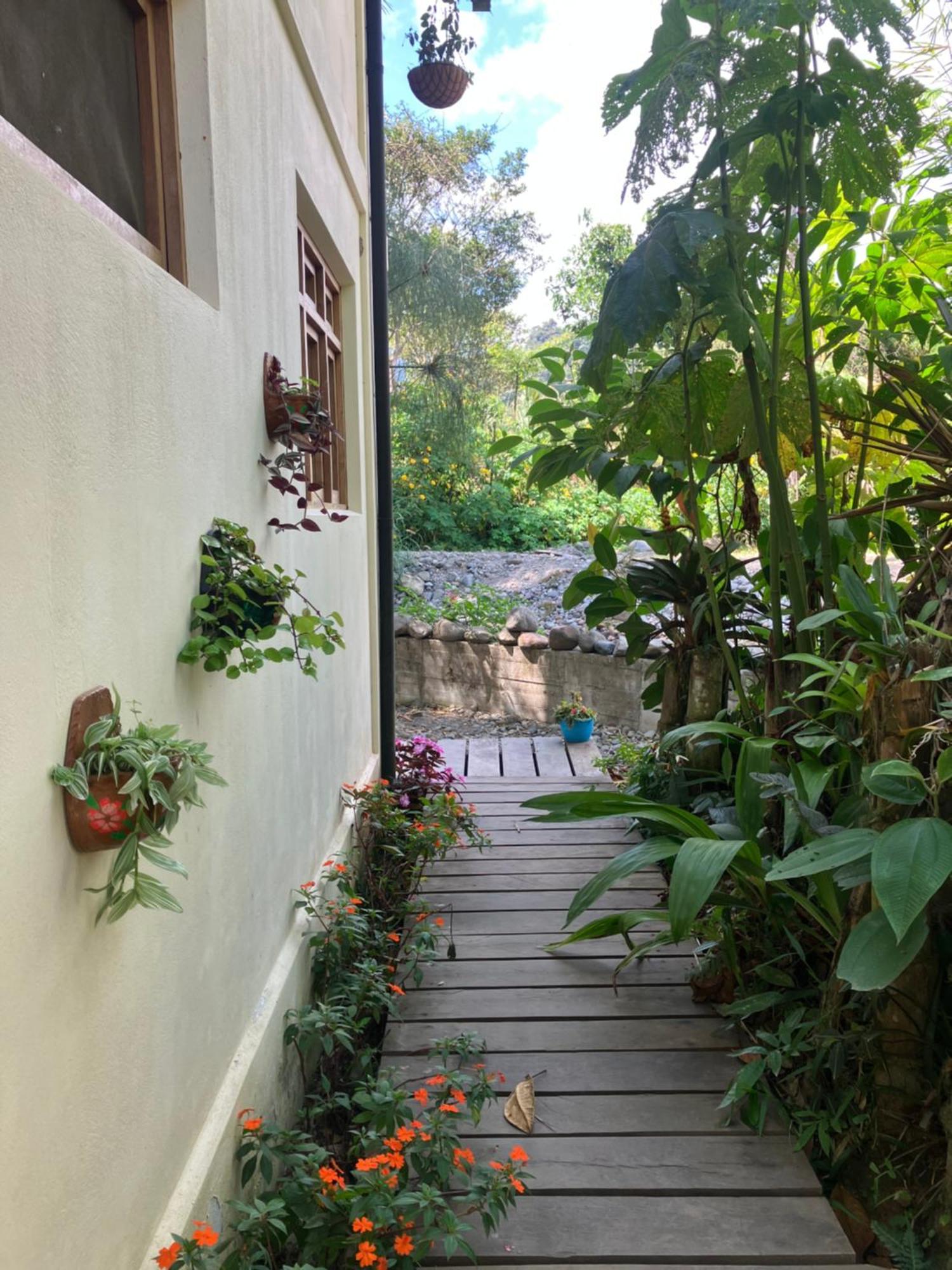 Casa Del Rio En Mindo住宿加早餐旅馆 外观 照片