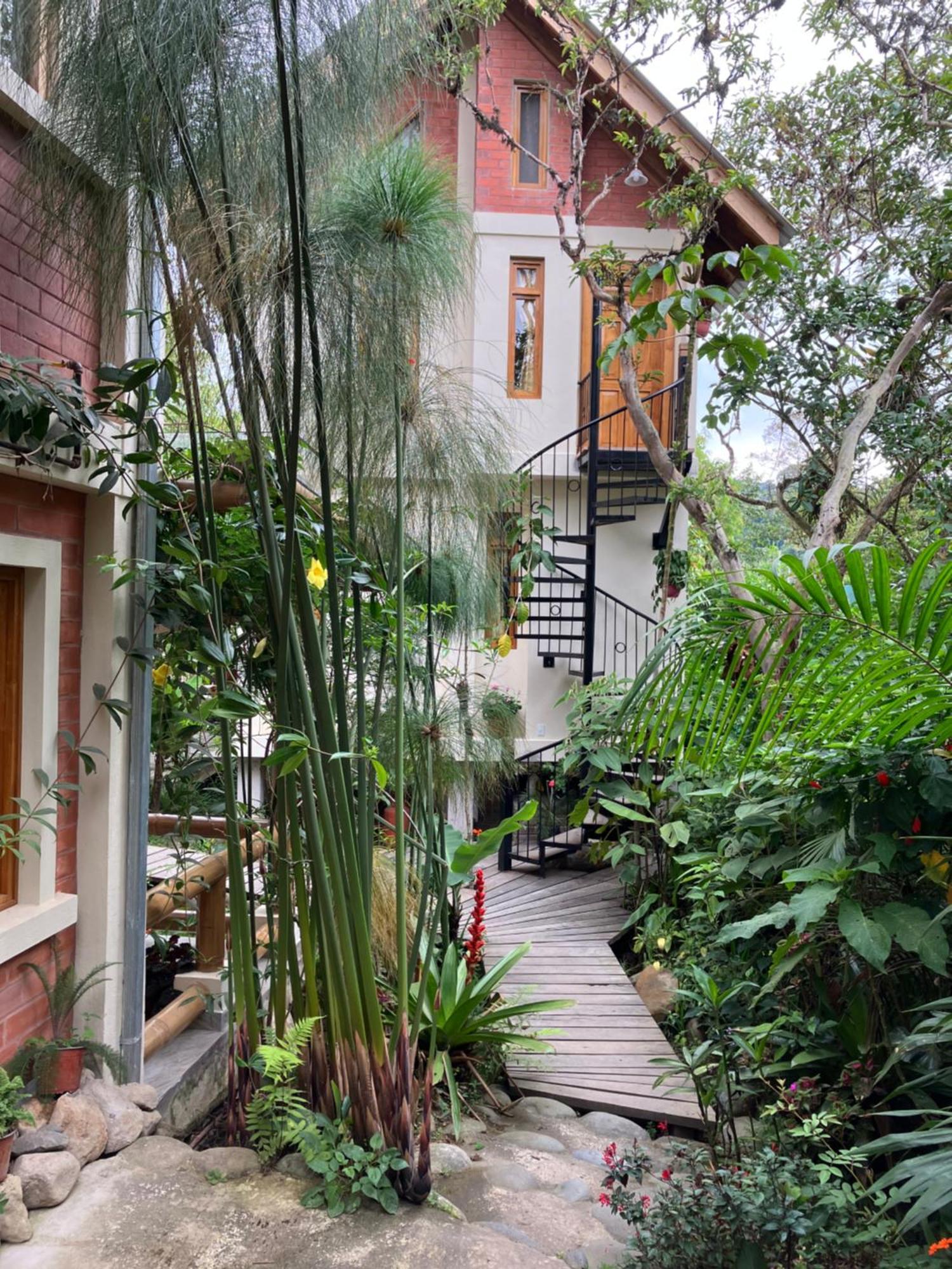 Casa Del Rio En Mindo住宿加早餐旅馆 外观 照片