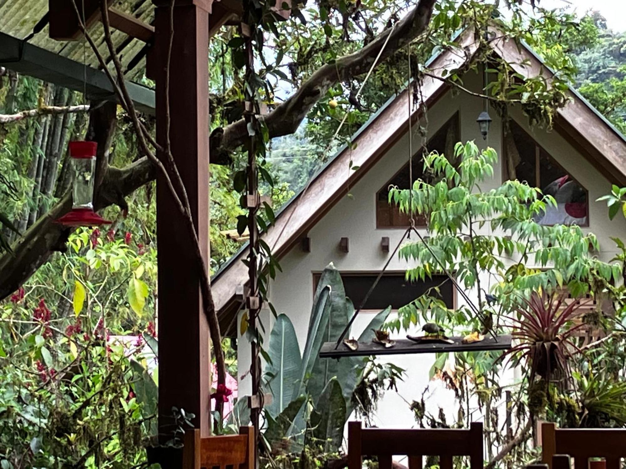 Casa Del Rio En Mindo住宿加早餐旅馆 外观 照片