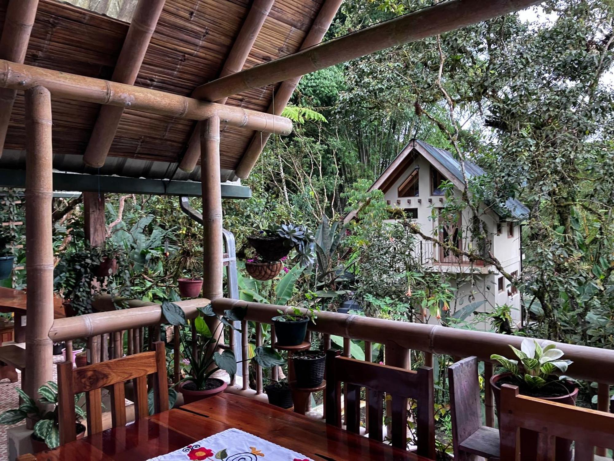 Casa Del Rio En Mindo住宿加早餐旅馆 外观 照片