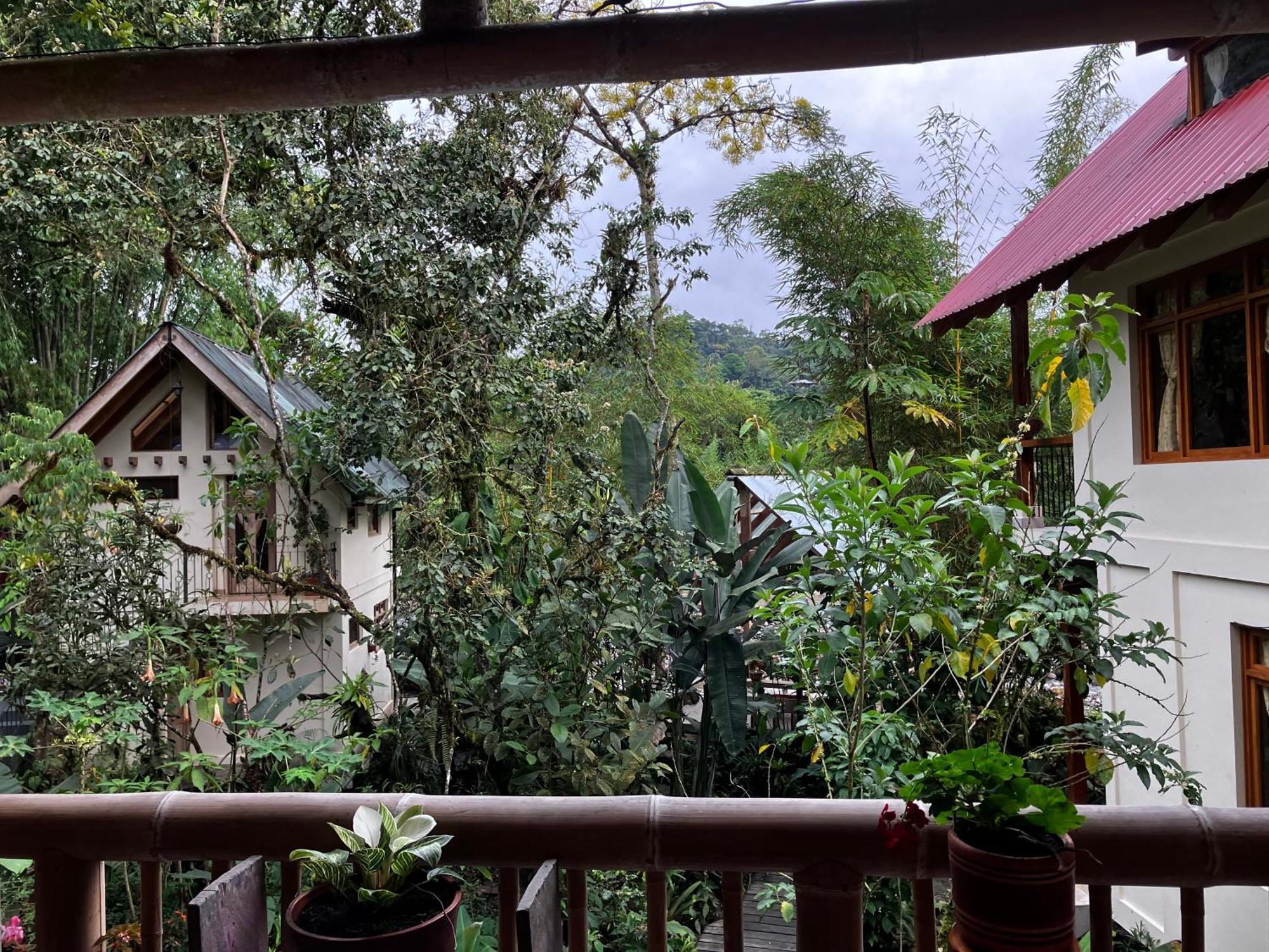 Casa Del Rio En Mindo住宿加早餐旅馆 外观 照片