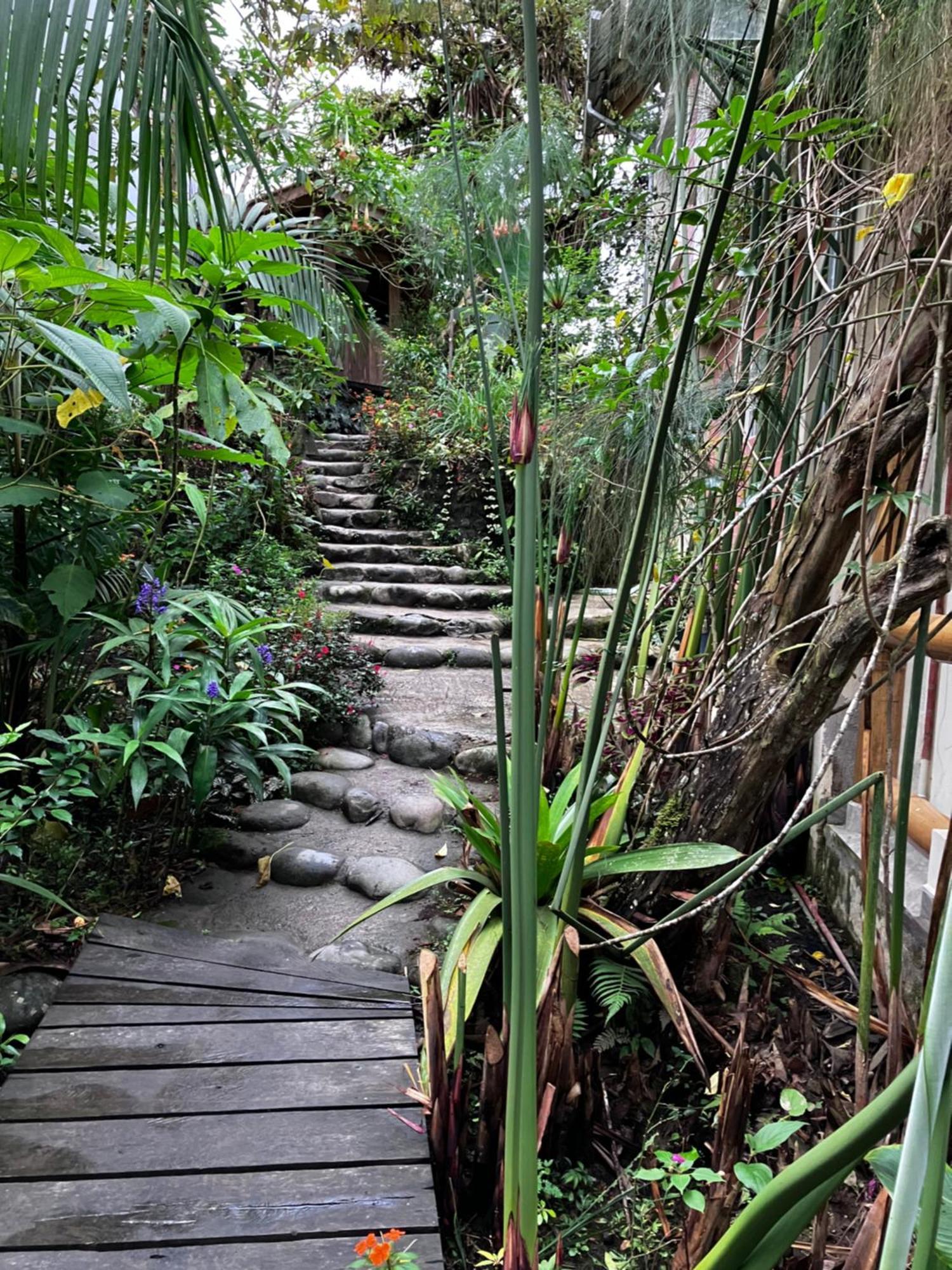 Casa Del Rio En Mindo住宿加早餐旅馆 外观 照片