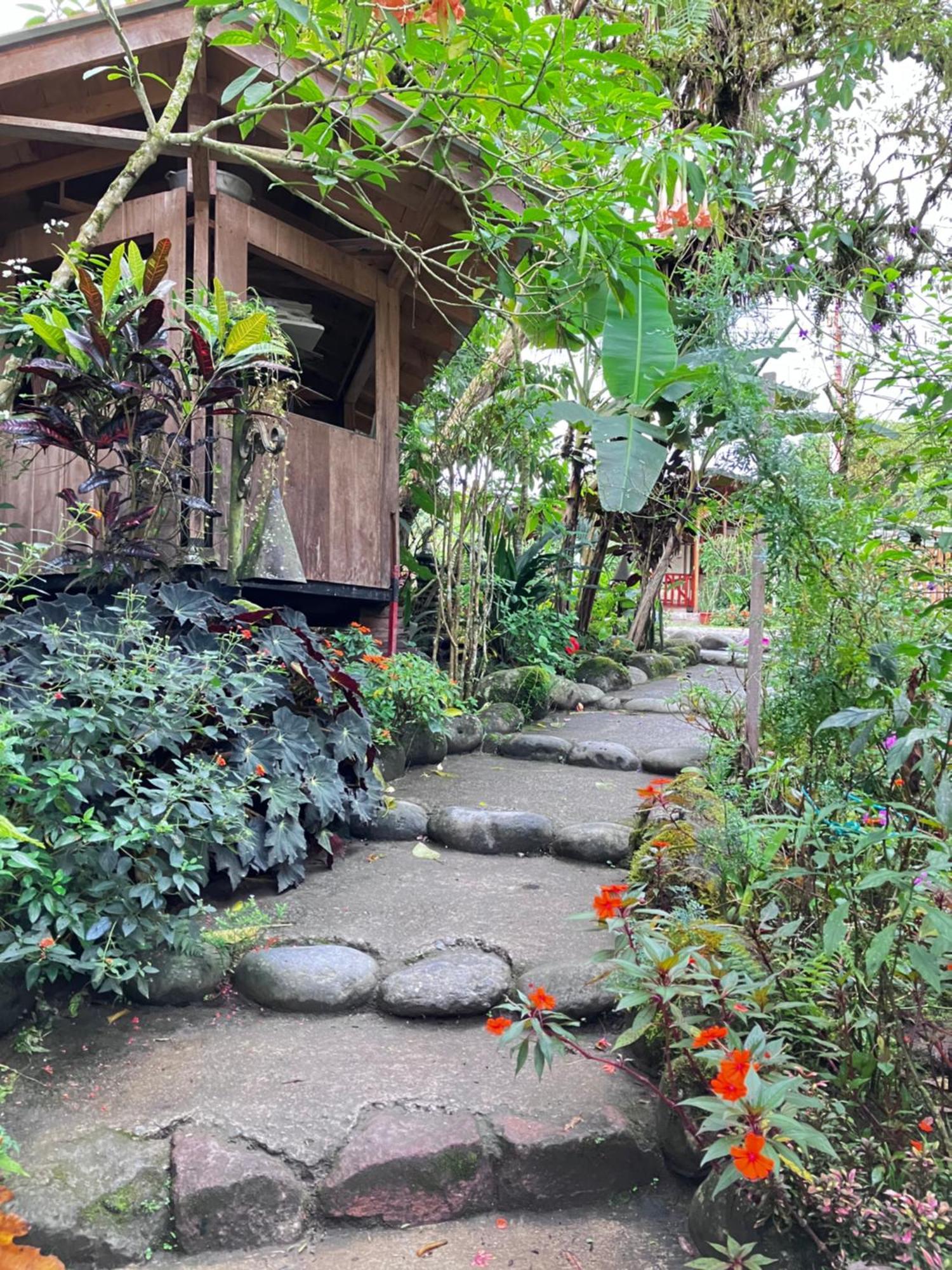 Casa Del Rio En Mindo住宿加早餐旅馆 外观 照片