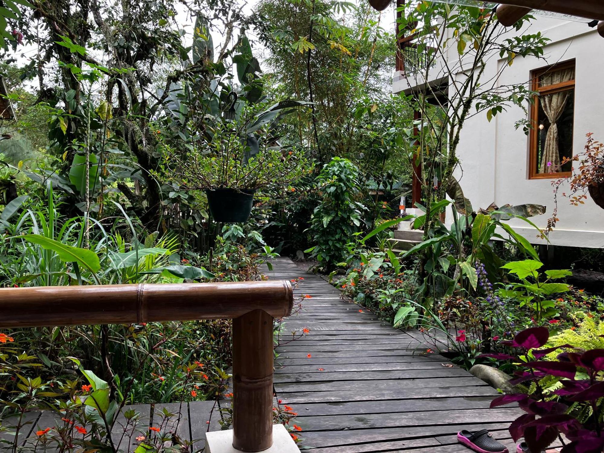 Casa Del Rio En Mindo住宿加早餐旅馆 外观 照片
