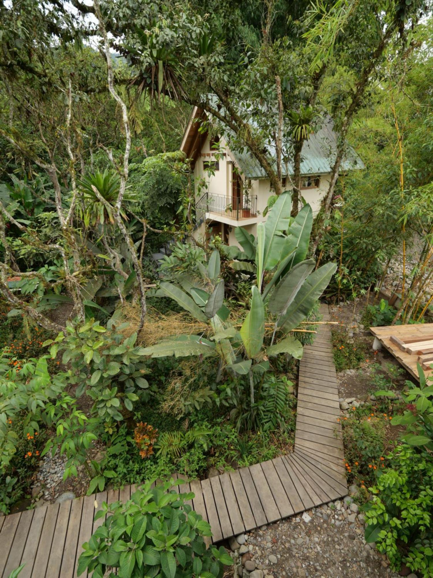 Casa Del Rio En Mindo住宿加早餐旅馆 外观 照片