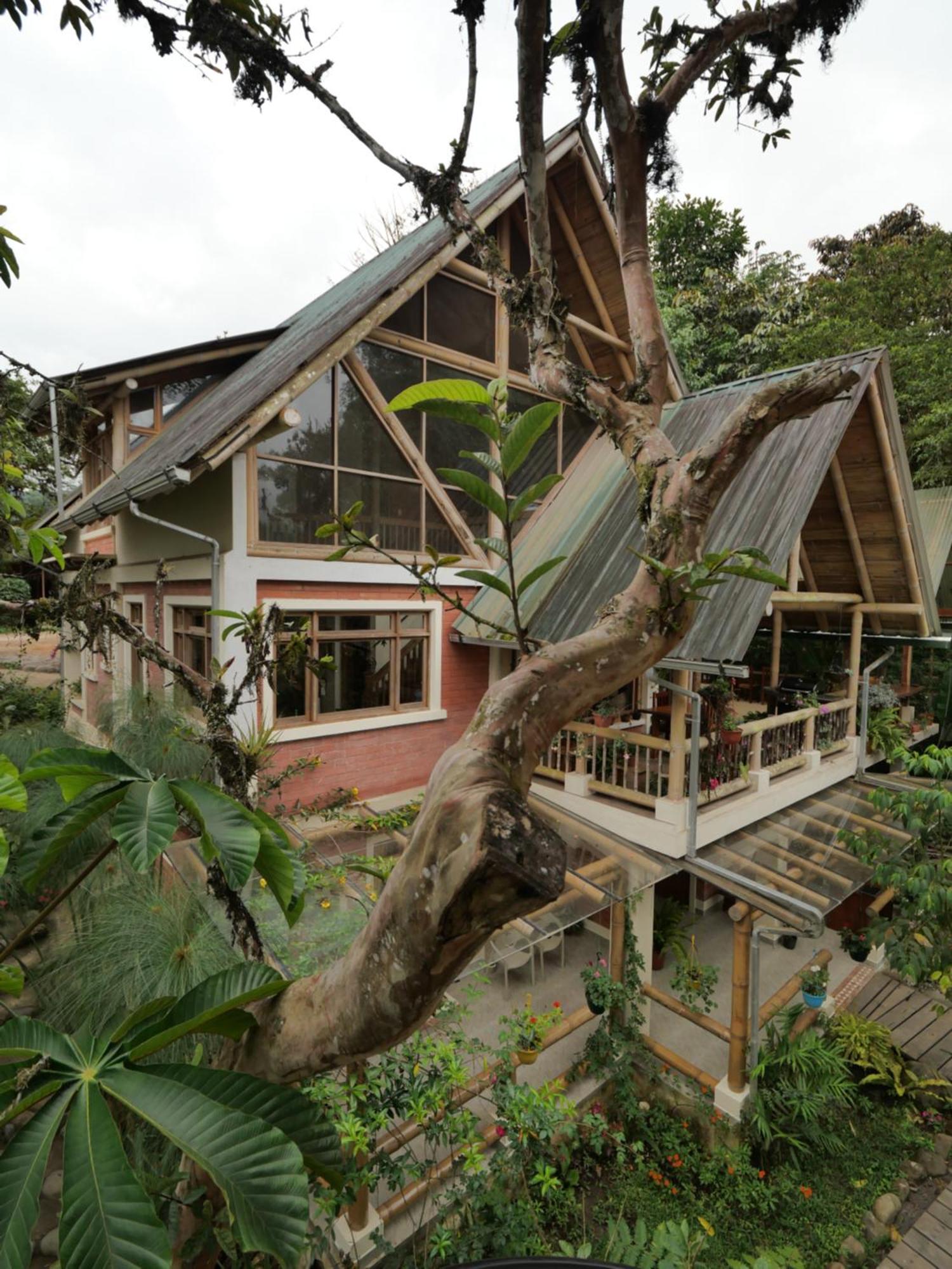 Casa Del Rio En Mindo住宿加早餐旅馆 外观 照片